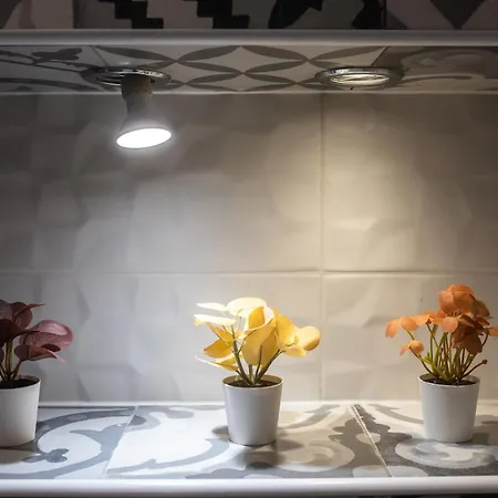 Loretas Roses Old Town Apartment *